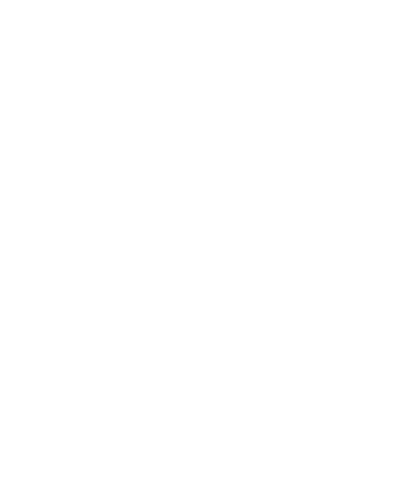 2020 Traveler's Choice Award Logo