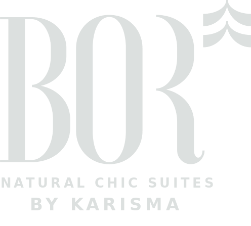 bor_hotel_logo_in_white