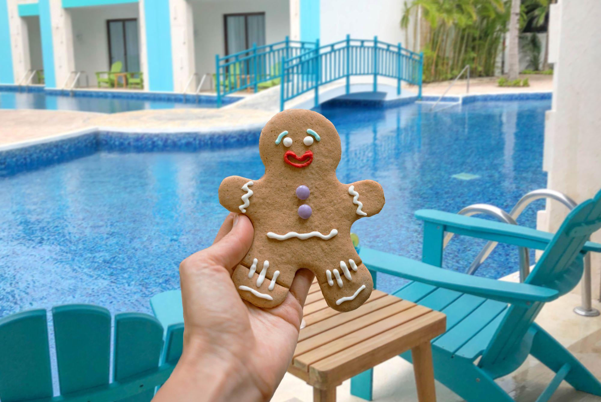 Person holding a gingerbread cookie