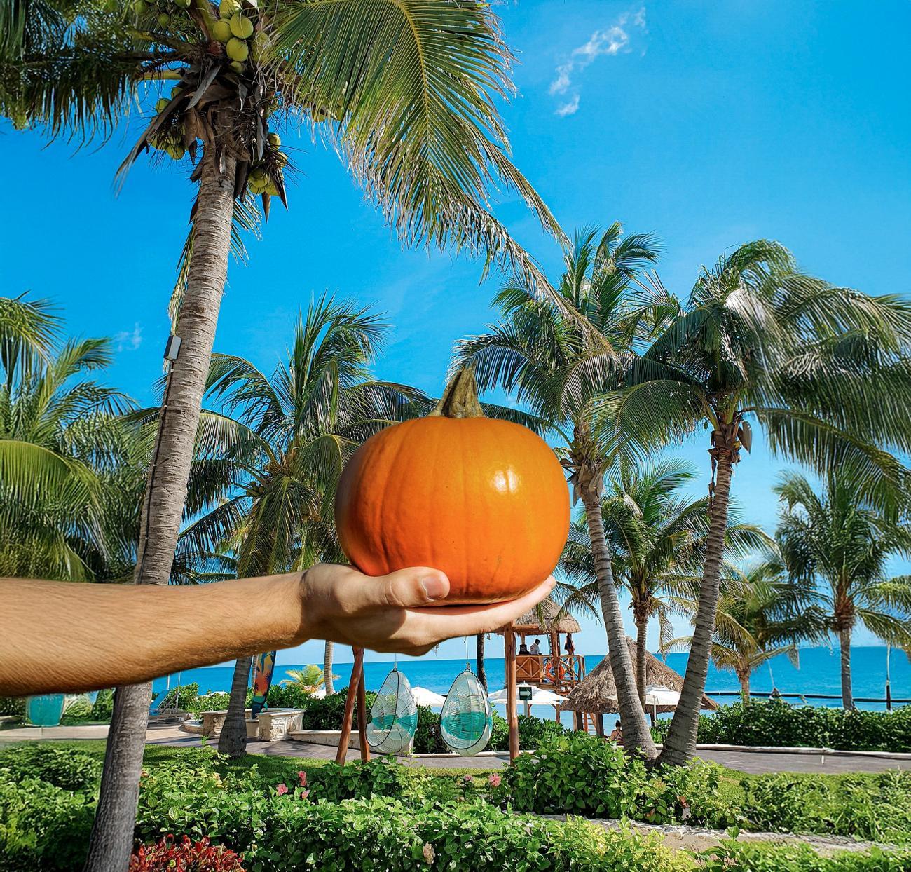 a person holding a pumpkin