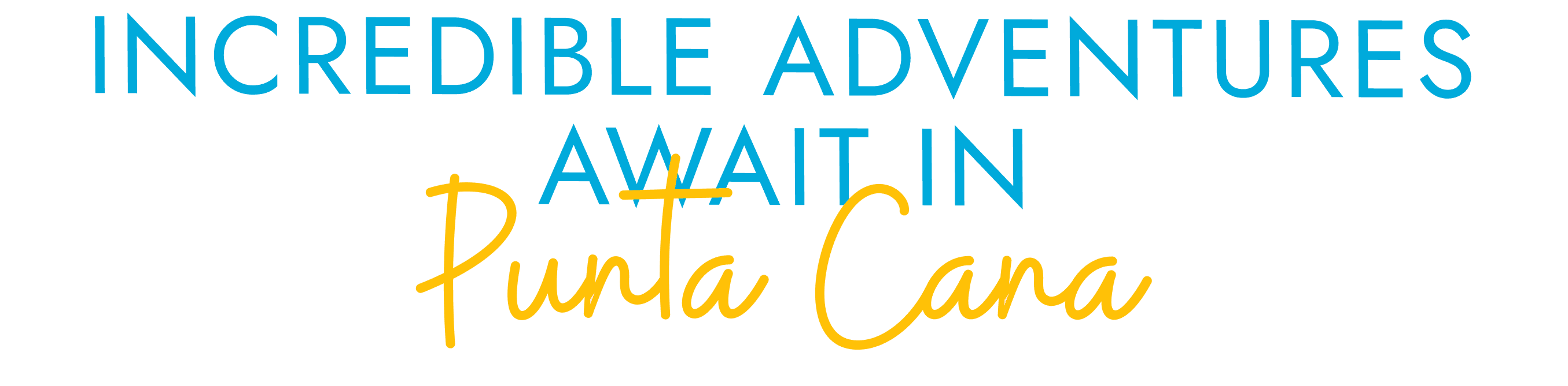 BRX Tours Punta Cana