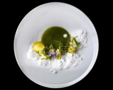 white dish with green gourmet soup